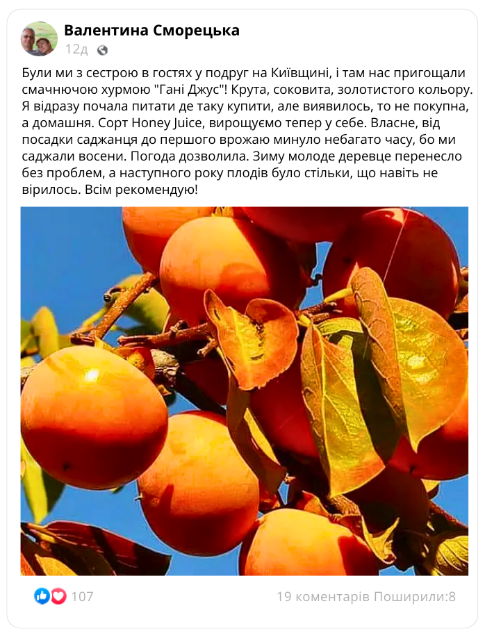 Заголовок