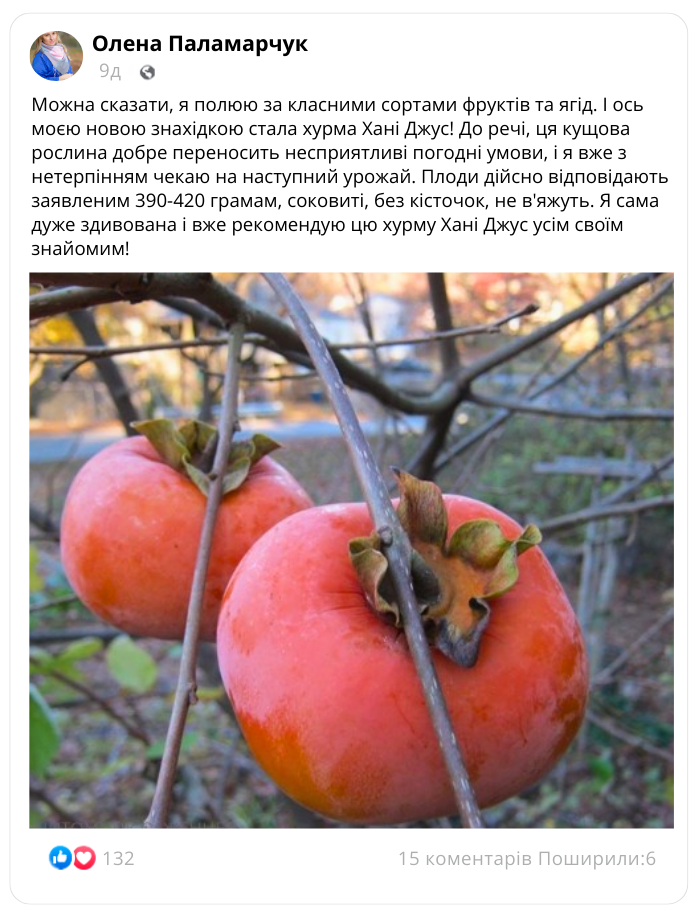 Заголовок