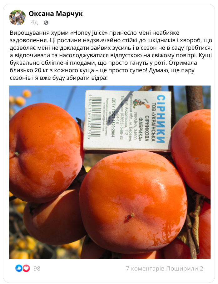 Заголовок