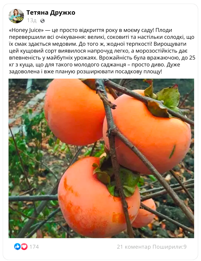 Заголовок